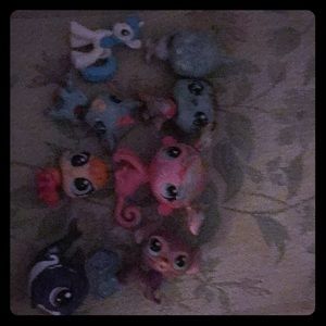LPS + A MY LITTLE PONY